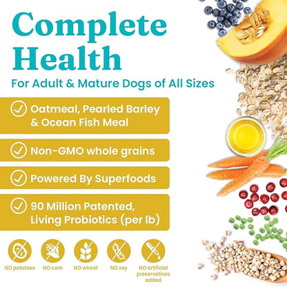 Solid Gold Dry Dog Food for Adult & Senior Dogs - Made with Oatmeal, Pearled Barley, and Fish Meal - Holistique Blendz Potato Free High Fiber Dog Food for Sensitive Stomach & Immune Support -24 LB