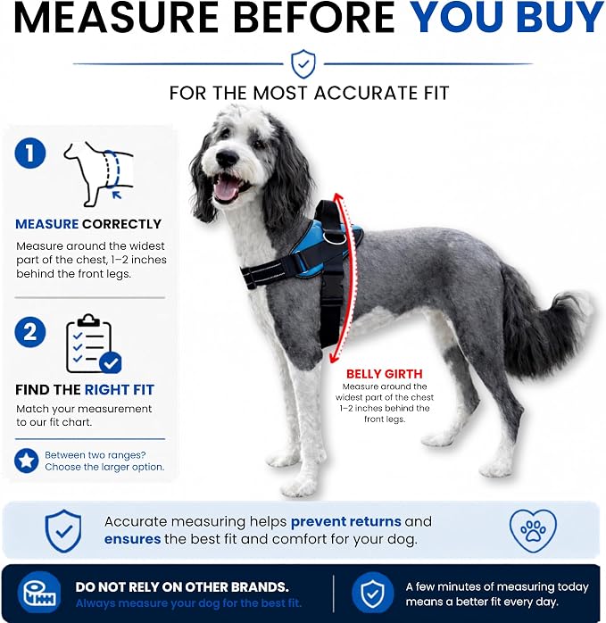 ShawnCo Essential Dog Harness, No-Pull Pet Vest (Electric Blue,L) | 3 Leash Clips, Easy On, No-Choke, Reflective, Adjustable Fit, Padded Comfort, Control Handle, For Small, Medium & Large Dogs