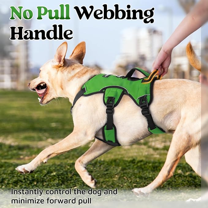 rabbitgoo Escape Proof Dog Harness for Medium, No Pull with Lift Handle | No Escape, Full Soft Padded, Reflective Adjustable Vest, Leash Clip for Walking Hiking Training, Green, Medium
