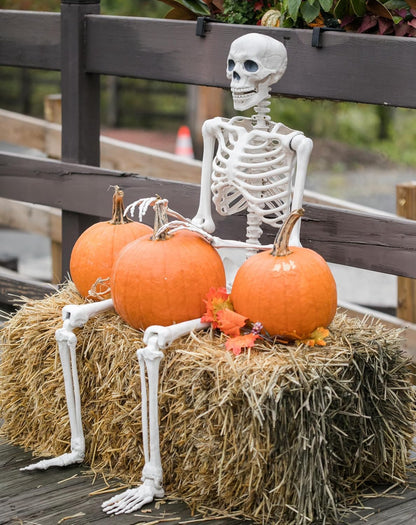 36" Halloween Skeleton - 3 ft Life Size Human Skeleton with Full Body Posable Joints - Spooky Scary Plastic Skeletons for Outdoor Decoration, Halloween Party Decor, Haunted House Props