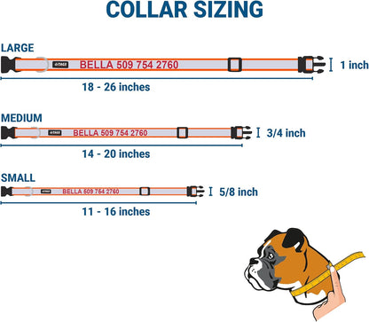 GoTags Reflective Personalized Dog Collar with Nameplate, Adjustable Dog Collar with Custom Engraved Steel Slide On Pet ID Tag, Silent, No Noise Dog Tag for Large Medium or Small (Orange, Large)