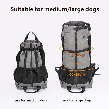 Big Dog Backpack Carrier, Dark Gray | Extra Large Pet Carrier for 66lbs Dogs, Fully Adjustable Water-Resistant Dog Travel Bag for Hiking Cycling Outdoor Adventures