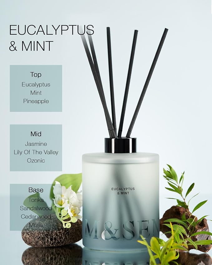 M&SENSE Eucalyptus & Mint Reed Diffuser Set
