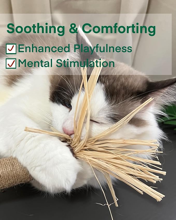 14.96 Inches Huge Silvervine Sticks Cat Toys, Large Natural Catnip Kittens Chew Toy for Teeth Cleaning,Big Catmint Blend Stick, Dental Kitty Chews for Indoor(2 Pack)