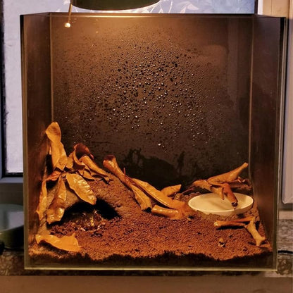BNOSDM Reptile Soil Substrate Fluffy Small-Strand Reptile Substrate and Snake Bedding Clean Natural Terrarium Bedding for Lizards Snakes Tortoises Tarantulas