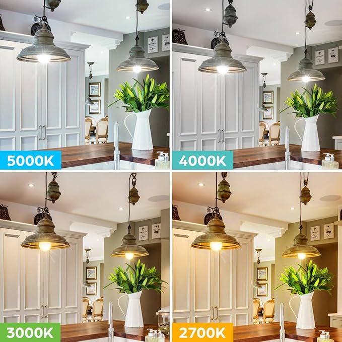 LED Light Bulbs 100 Watt Equivalent 1500 lumens, A19 5000K Daylight White Non-Dimmable, Super Bright No Flicker E26 Standard Base, 13W Lightbulb for Bedroom, Living Room, Office Lighting, 24 Packs