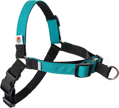No Pull Dog Harness | Comfortable Training Harnesses | Effective No Pull Harness Design | Ideal for Medium Sized Dog | 4-Point Adjustable(M - 22~28 inch Girth, Turquoise)