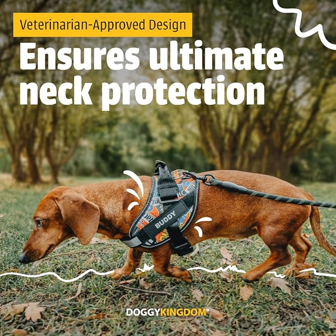 Personalized Dog Harness with Custom Name Patches, Adjustable Reflective No Choke Dog Vest with Handle for Extra Large Dog, Blue, XL