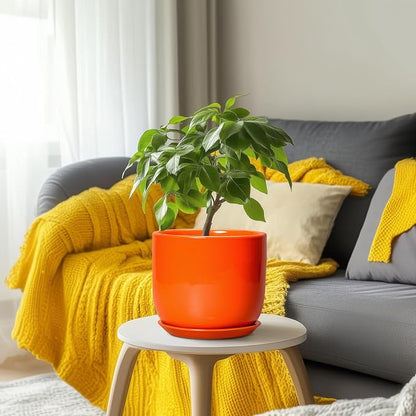 Ceramic Pot for Plants - 8 Inch Plant Pot with Drainage Hole and Saucer, Cylinder Modern Round Planter for Indoor Outdoor Plants, Housewarming Gifts, Office Home Garden Decor, Orange