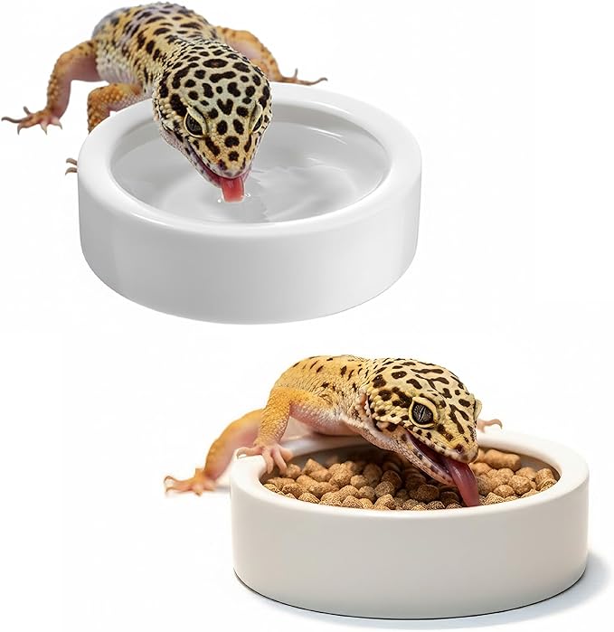 Escape-Proof Reptile Food Dish Bowl, Ceramic Reptile Feeding Dish & Small Animal Bowl for Lizard, Leopard Gecko, Hermit Crab, Hamster, Anti Escape Live Food & Water Dish (3x1in)