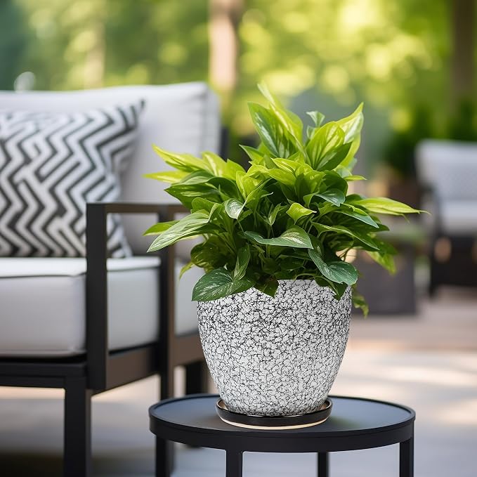Ceraimc Plant Pot - 8 Inch Planter with Drainage and Saucer, Modern Round Planter, Flower Pot for Indoor Outdoor Plants, Home Room Garden Apartment Decor, Gifts for Plant Lovers, White-Black