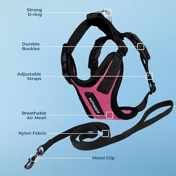 Voyager Step-in Lock Adjustable Cat Harness w. Cat Leash Combo Set with Neoprene Handle 5ft - Supports Small, Medium and Large Breed Cats by Best Pet Supplies - Fuchsia/Black Trim, XXXS