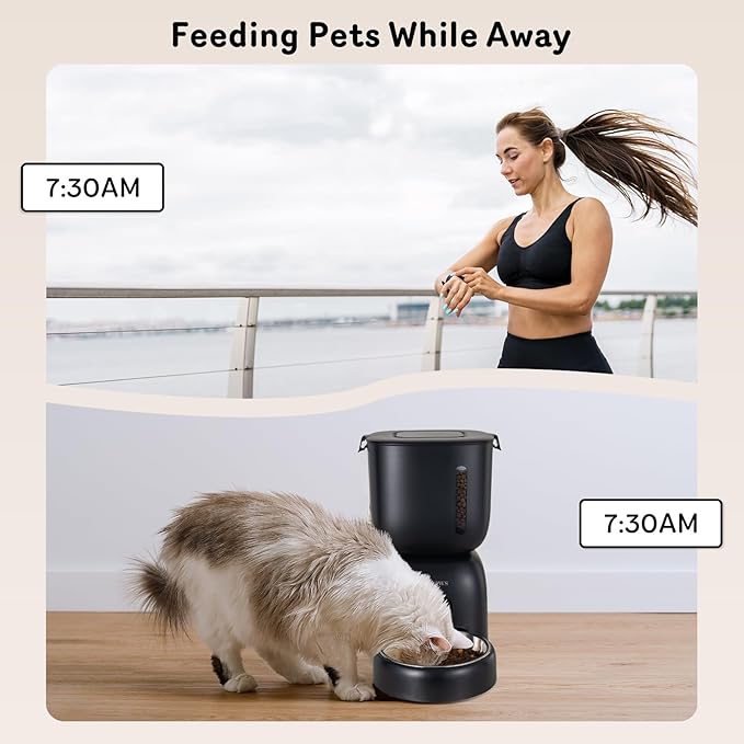 Automatic Cat Feeder and Water Dispenser FW1, Wire or Battery Cat Food