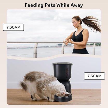 Automatic Cat Feeder and Water Dispenser FW1, Wire or Battery Cat Food