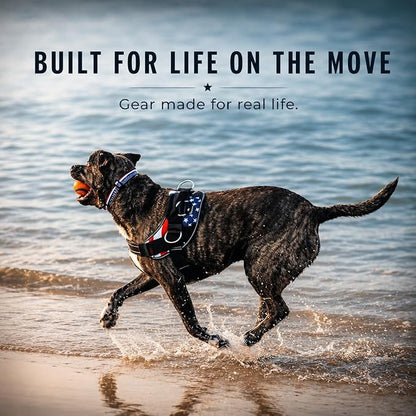 ShawnCo Essential Dog Harness, No-Pull Pet Vest (Olive Green,L) | 3 Leash Clips, Easy On, No-Choke, Reflective, Adjustable Fit, Padded Comfort, Control Handle, For Small, Medium & Large Dogs