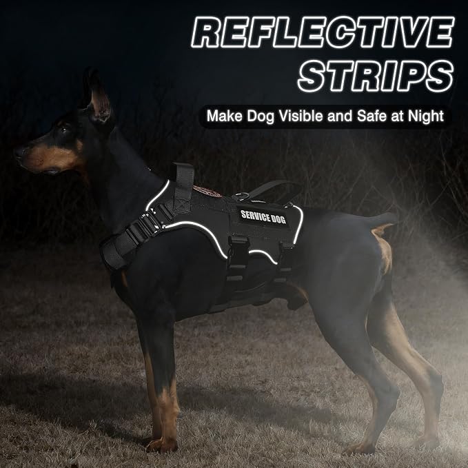 Tactical Service Dog Vest and Leash Set,Heavy Duty Harness with Metal Buckles for Medium Sized Dogs,Adjustable No Pull Pet Vest with Patches for Training Working,Black M
