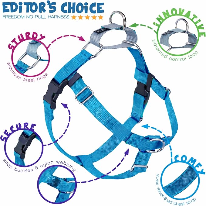 2 Hounds Design Freedom No Pull Dog Harness and Leash, 5/8" SM, Turquoise | Promotes Easy Walking & Comfortable Control, Secure Fit, Adjustable Harness and Leash Set for Small Sized Dogs, Made in USA