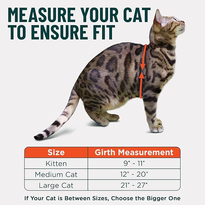 Houdini™ Escape Proof Cat Harness and Leash Set by OutdoorBengal – Orange, Medium Cat Harness for Walking