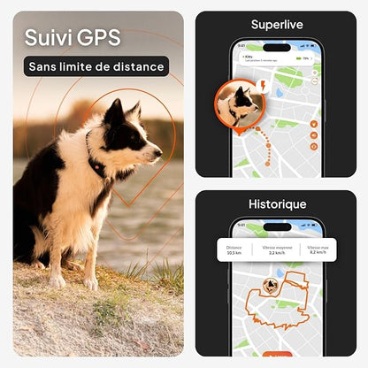 Weenect Dog XT - New GPS Collar