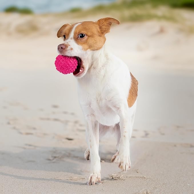 Best Pet Supplies Squeaky Dog Toys with Soft Durable Fabric for Small, Medium and Large Pets Interactive Toy for Indoor Play, Supports Active Biting and Play - Fuchsia, Green (L:3.5")