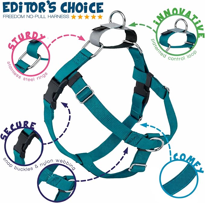 2 Hounds Design Freedom No Pull Dog Harness, Adjustable Harness and Leash Set, Easy Walking & Comfortable Control, Fits Small, Medium & Large Dogs, Solid Colors, Made in USA, 5/8" MD, Teal