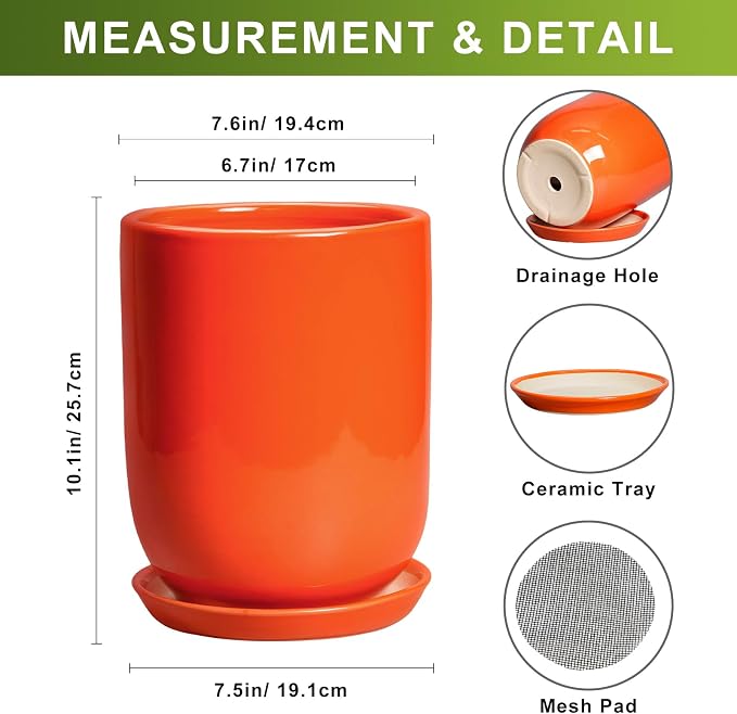 Ceramic Planter - 8 Inch Plant Pot with Drainage Hole and Saucer, Cylinder Round Modern Flower Pot for Indoor Outdoor Plants, Plant Lover Gifts, Garden Office Home Decor, Orange