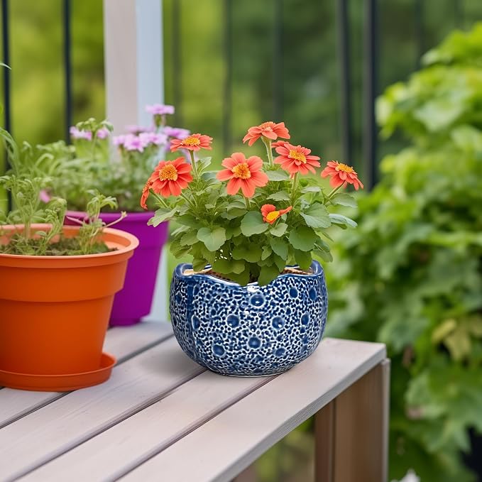 Orchid Pot - 6 Inch Ceramic Plant Pot for Indoor Outdoor, Round Unique Planters with Drainage Hole, Modern Round Decorative Flower Pots, Home Decor, Gifts for Plant Lovers, Blue