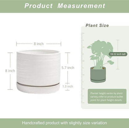 HERDUK 8 Inch Pots for Plants, Ceramic Planter Pot with Drainage Hole & Saucer, Indoor/Outdoor Cylinder Round Planter Pot, Matte White