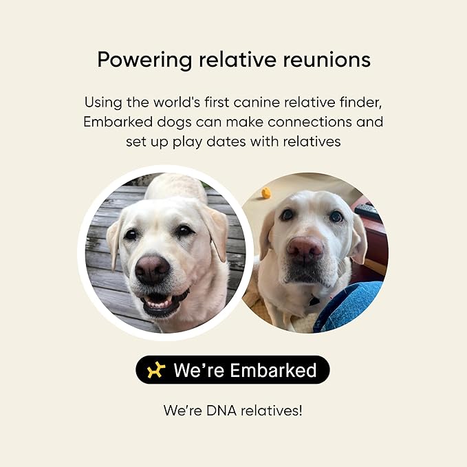 Embark Breed & Health Kit