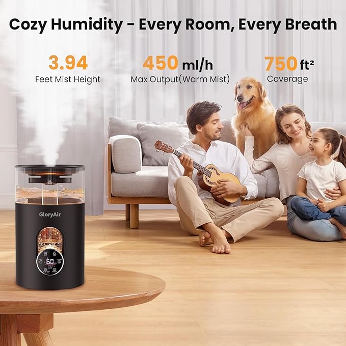 Warm & Cool Mist Humidifier