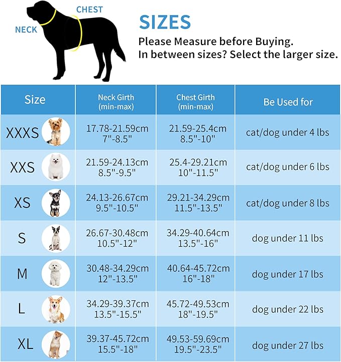 AIITLE Small Harness for Puppy with A Leash - Summer Dog Vest Harness with Super Breathable Mesh, Reflective No-Pull Pet Harness for Outdoor Walking, Camping for Small Dogs, Cats Turquoise XXS