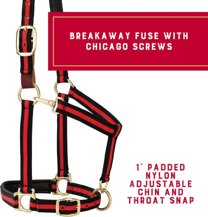 Weaver Equine Breakaway Horse Halter, Comfort Foam Padding, Adjustable Chin & Throat Snap Halters for Horses, Equine Tack,Average Size, Red