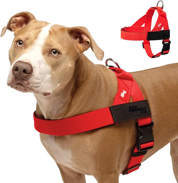 Dog Friendly Co. Dog Harness for Small Dogs (Red, XXSmall) | One Click Buckle, Chafe Resistant Webbing, Adjustable Neck & Chest, and Heavy Duty D-Ring, Sturdy Comfortable and Easy to Use