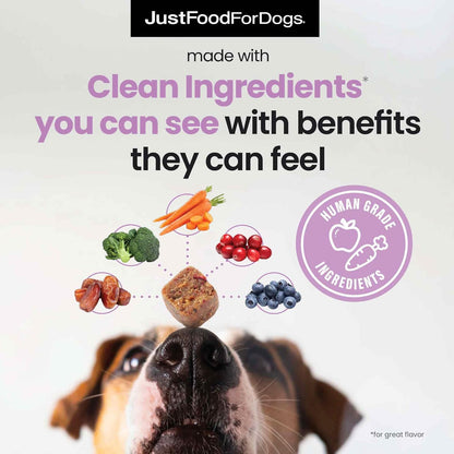 JustFoodForDogs Probiotic Booster Gut Health Soft Chews Supplement for Dogs, Digestive Health Support, Diarrhea, Human Grade Ingredients - 45 Count