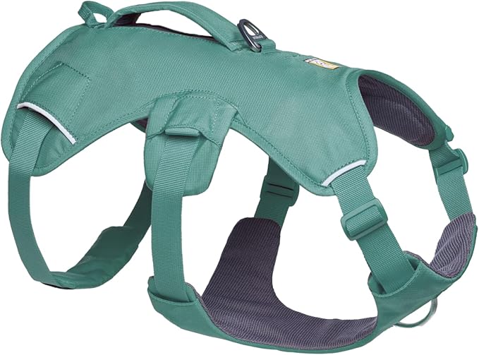 Ruffwear, Web Master, Multi-Use Support Dog Harness, Hiking and Trail Running, Service and Working, Everyday Wear, River Rock Green, Small