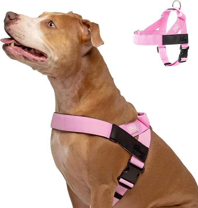 Dog Friendly Co. Dog Harness for Large Breeds (Pink, Extra Large) | One Click Buckle, Chafe Resistant Webbing, Adjustable Neck & Chest, and Heavy Duty D-Ring, Sturdy Comfortable and Easy to Use