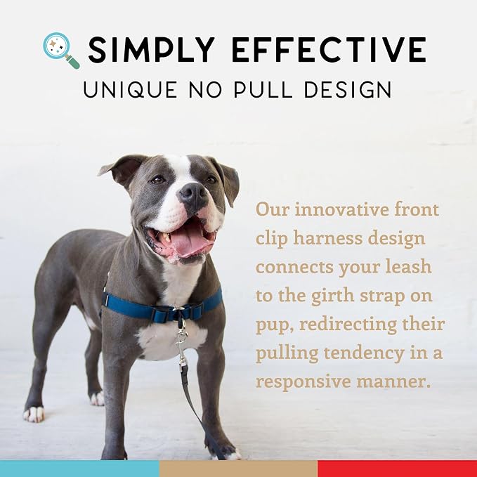 No Pull Dog Harness | Comfortable Dog Training Harnesses | Effective No Pull Harness Design | Ideal Dog Harness for Small Dog and Puppy | 4-Point Adjustable (XS - 15~20 inch Girth, Navy)