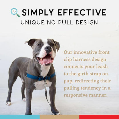No Pull Dog Harness | Comfortable Dog Training Harnesses | Effective No Pull Harness Design | Ideal Dog Harness for Small Dog and Puppy | 4-Point Adjustable (XS - 15~20 inch Girth, Navy)
