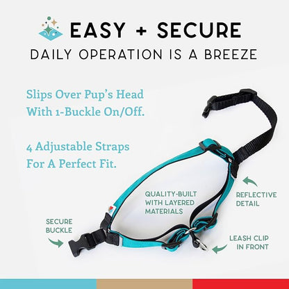 No Pull Dog Harness | Comfortable Training Harnesses | Effective No Pull Harness Design | Ideal for Medium Sized Dog | 4-Point Adjustable(M - 22~28 inch Girth, Turquoise)