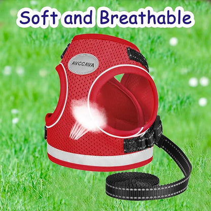 Cat Harness and Leash for Walking, Kitten Escape Proof Harnesses, Adjustable Reflective Puppy Harness with Leashes Set, Easy Adjustable Soft net Breathable Pet Safety Vest