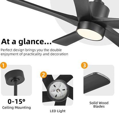 WINGBO 48 Inch DC Ceiling Fan