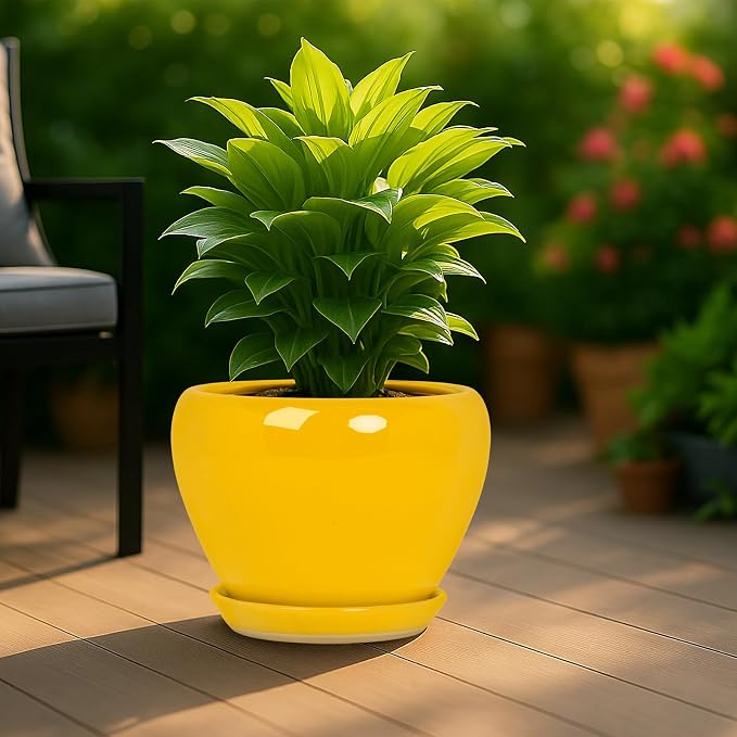 Deep Dream 10 Inch Plant Pot- Ceramic Planter Pot Round Plant Pots for Indoor Plants Outdoor Large Flower Pot with Drainage Holes & Trays, Yellow