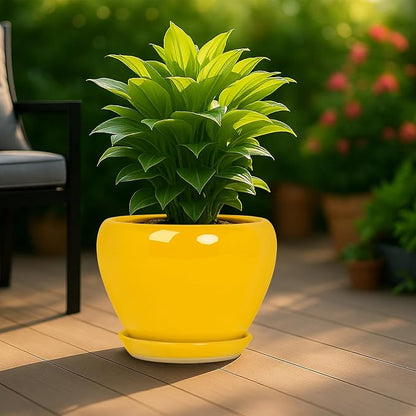 Deep Dream 10 Inch Plant Pot- Ceramic Planter Pot Round Plant Pots for Indoor Plants Outdoor Large Flower Pot with Drainage Holes & Trays, Yellow