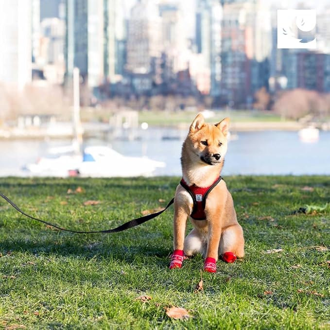 RC Pets Step in Cirque Harness XXL Azalea