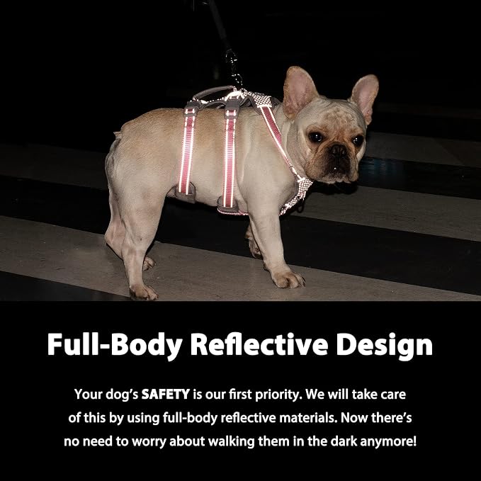 No Escape Dog Harness, Escape Proof Harness, Fully Reflective Harness with Padded Handle, Breathable, Durable, Adjustable Vest for Medium Dogs Walking, Training, and Running Gear (Teal,M)