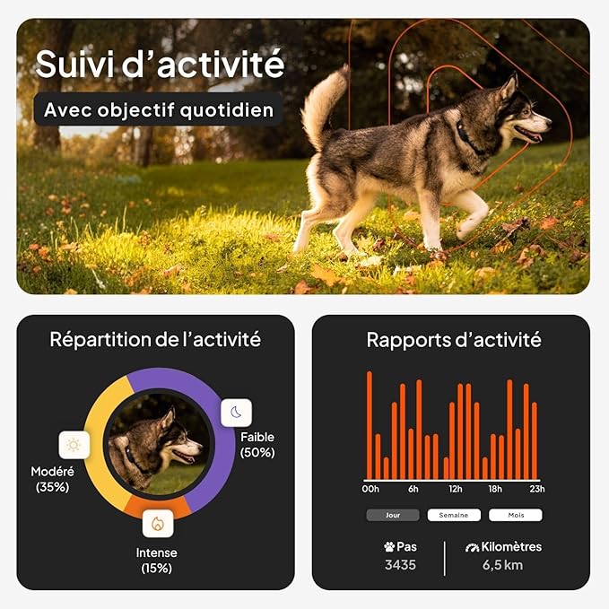 Weenect Dog XT - New GPS Collar