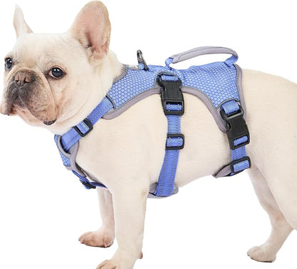 Escape Proof Dog Harness, Dachshund Harness, Reflective Dog Harness with Handle, Durable,Adjustable Vest for Small Medium Large Dogs Walking, Training, and Running Gear (Technicolor Blue,M)