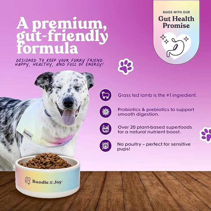 Bundle x Joy Grass-Fed Lamb Dog Food 12lb Bag with Added Probioitics, Poultry-Free, Digestive Gut Health, No Chicken or Beef, Made in USA