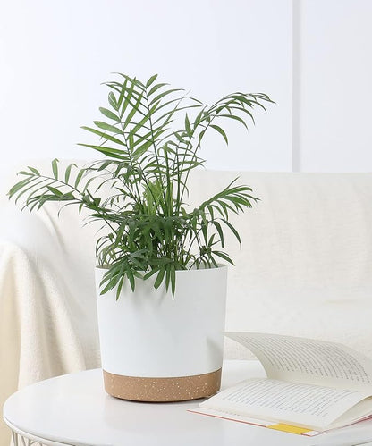 kubvici 2 Pack 8 Inch Planters for Indoor Plants, Plastic Flower Pots Plant Pots Indoor with Drainage Saucer for Outdoor Garden Home Plant, White 8”