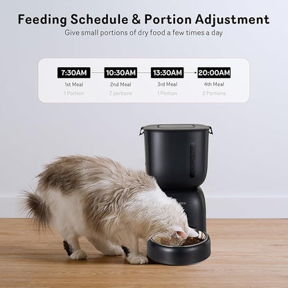 Automatic Cat Feeder and Water Dispenser FW1, Wire or Battery Cat Food